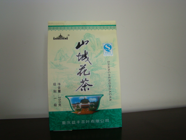 ɽ�ǻ��裨YF-B-004)